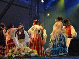 Festival de Folkore en Mula